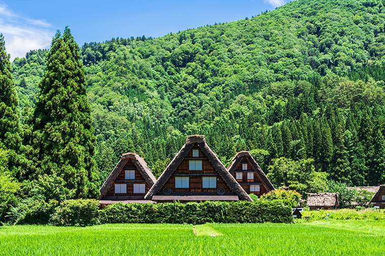 世界遺産・白川郷（片道約1時間※高速利用）